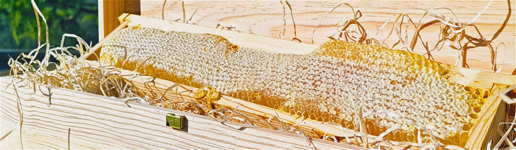 miel en rayon extra brut bio