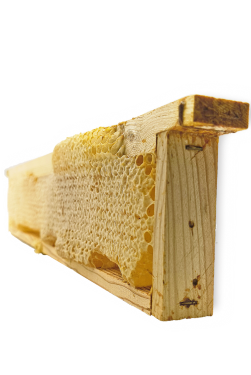 miel en rayon extra brut 