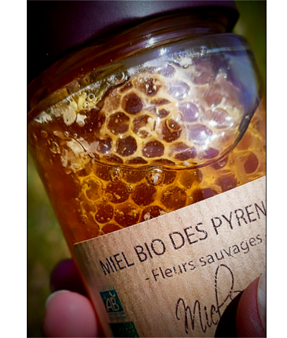miel brut france 